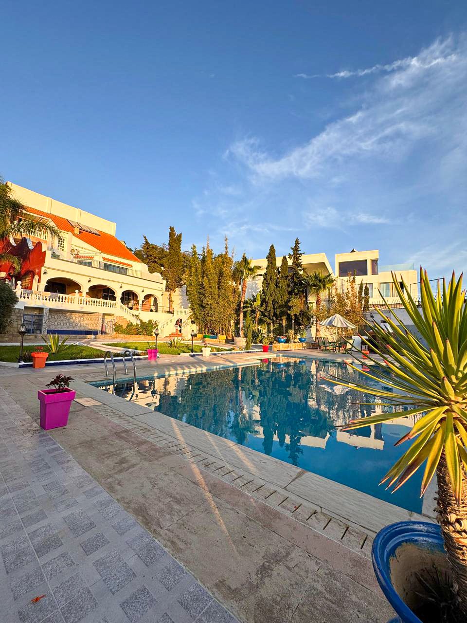 IMG-20250114-WA0076 (1)